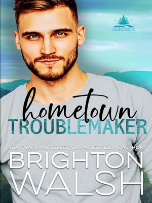 cover image of Hometown Troublemaker